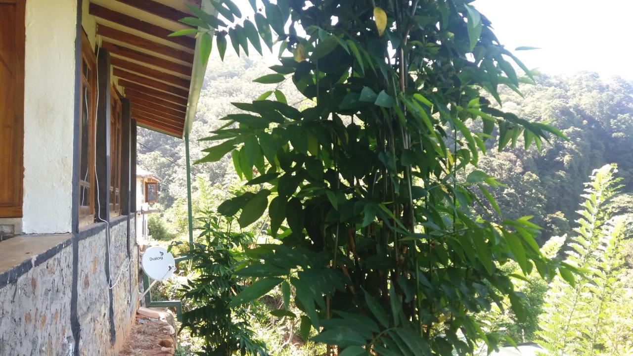 Artist Cottage Haputale Exterior foto